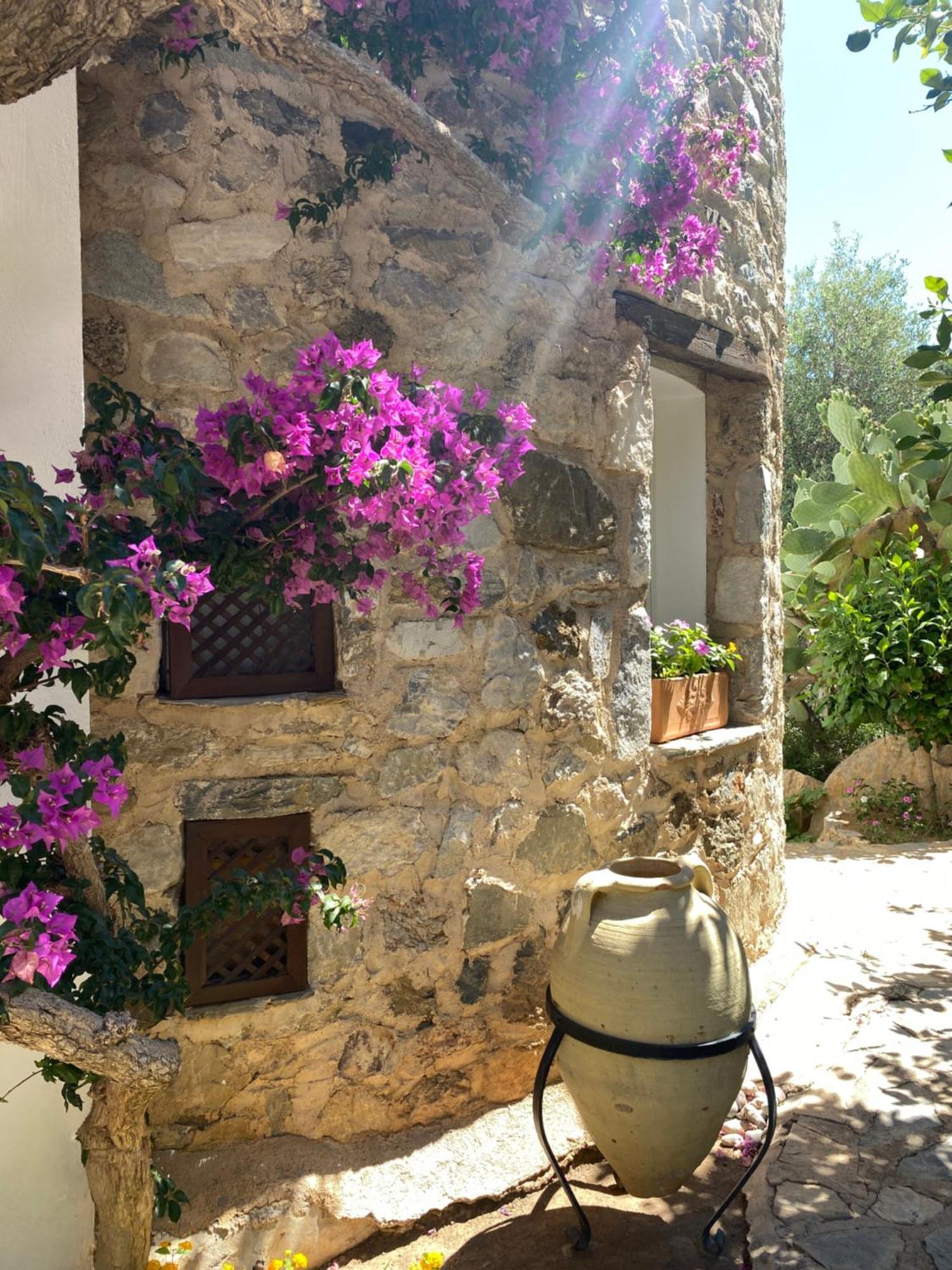 Hotel Villa Tokur Datça Exteriér fotografie