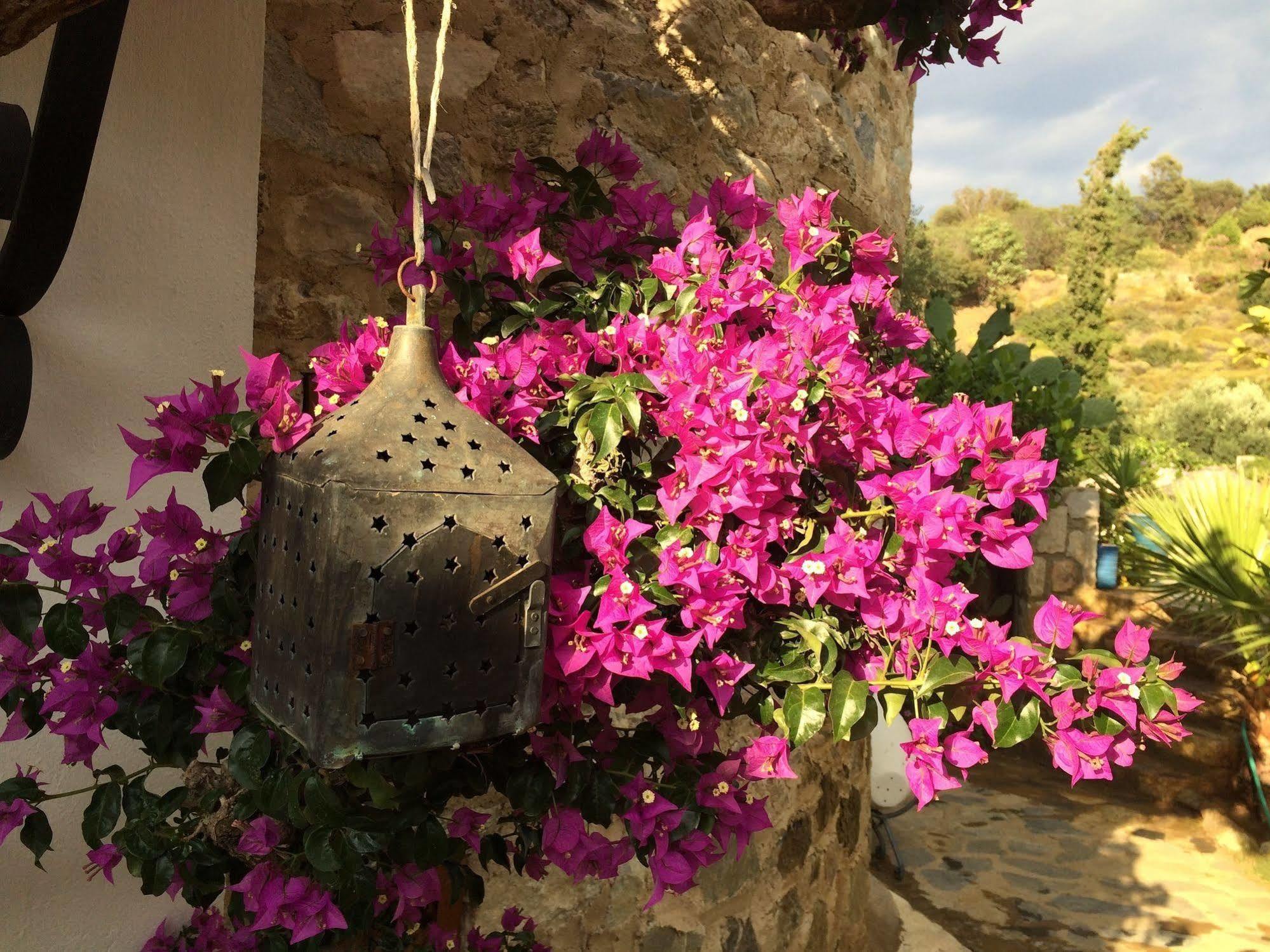 Hotel Villa Tokur Datça Exteriér fotografie